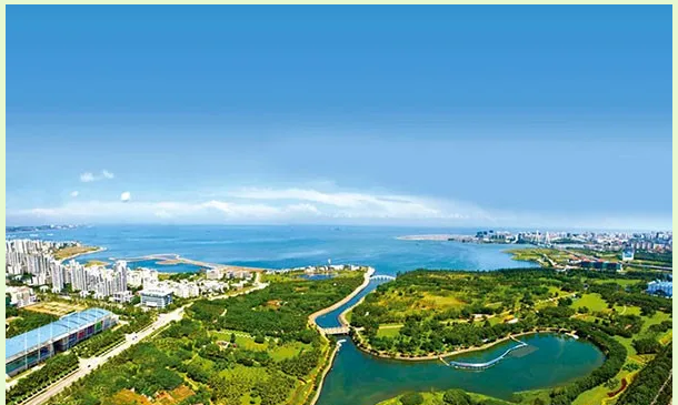 1_副本.png 1_副本.png